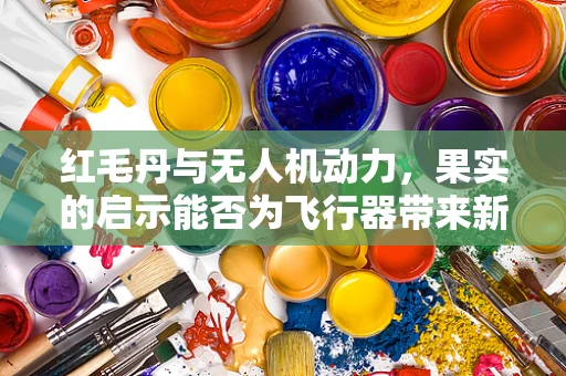 红毛丹与无人机动力，果实的启示能否为飞行器带来新动力？