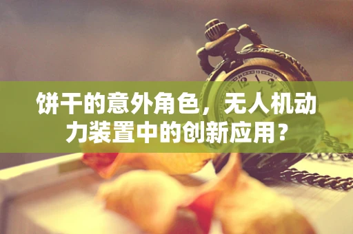 饼干的意外角色，无人机动力装置中的创新应用？