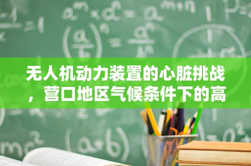 无人机动力装置的心脏挑战，营口地区气候条件下的高效能需求