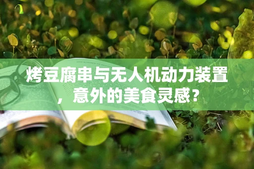 烤豆腐串与无人机动力装置，意外的美食灵感？