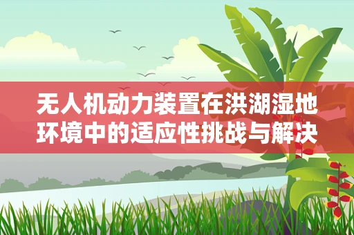 无人机动力装置在洪湖湿地环境中的适应性挑战与解决方案