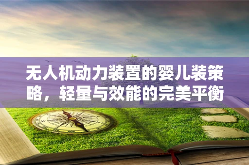 无人机动力装置的婴儿装策略，轻量与效能的完美平衡？