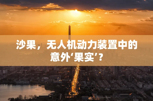 沙果，无人机动力装置中的意外‘果实’？