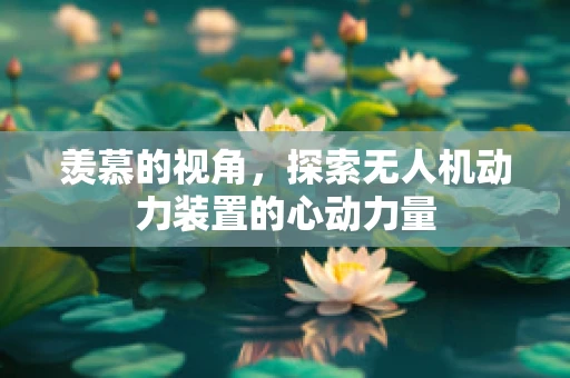 羡慕的视角，探索无人机动力装置的心动力量