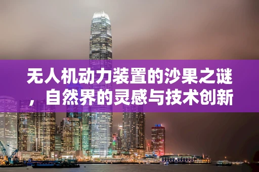 无人机动力装置的沙果之谜，自然界的灵感与技术创新