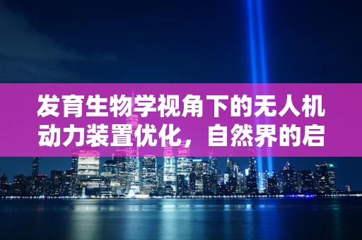 发育生物学视角下的无人机动力装置优化，自然界的启示
