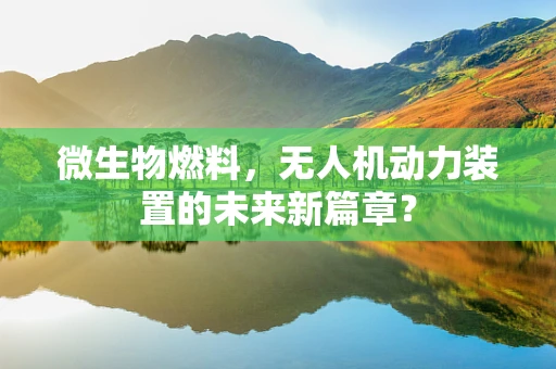微生物燃料，无人机动力装置的未来新篇章？