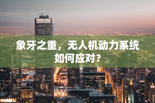 象牙之重，无人机动力系统如何应对？