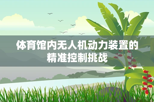 体育馆内无人机动力装置的精准控制挑战