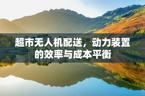 超市无人机配送，动力装置的效率与成本平衡