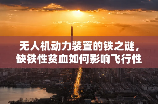 无人机动力装置的铁之谜，缺铁性贫血如何影响飞行性能？