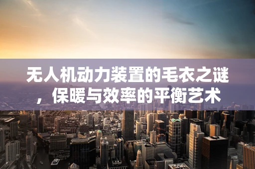 无人机动力装置的毛衣之谜，保暖与效率的平衡艺术
