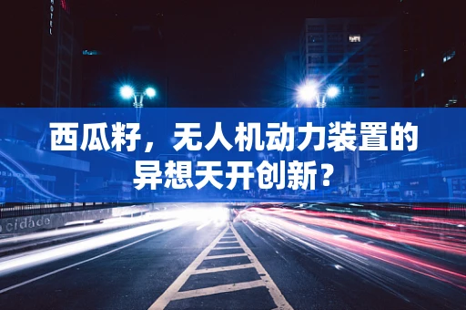 西瓜籽，无人机动力装置的异想天开创新？