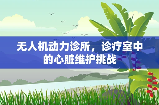 无人机动力诊所，诊疗室中的心脏维护挑战