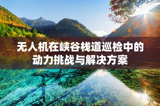无人机在峡谷栈道巡检中的动力挑战与解决方案