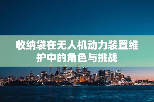 收纳袋在无人机动力装置维护中的角色与挑战