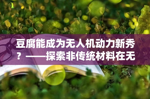 豆腐能成为无人机动力新秀？——探索非传统材料在无人机动力装置中的应用