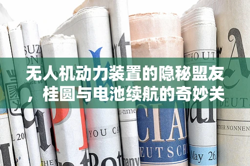 无人机动力装置的隐秘盟友，桂圆与电池续航的奇妙关系？