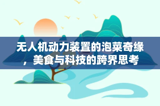 无人机动力装置的泡菜奇缘，美食与科技的跨界思考