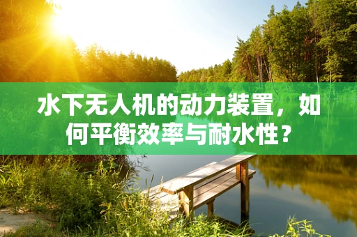 水下无人机的动力装置，如何平衡效率与耐水性？