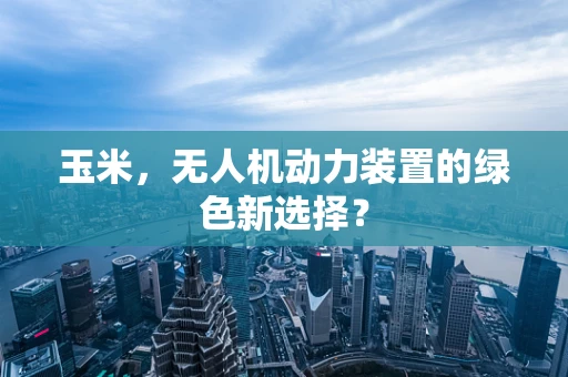 玉米，无人机动力装置的绿色新选择？