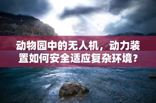 动物园中的无人机，动力装置如何安全适应复杂环境？