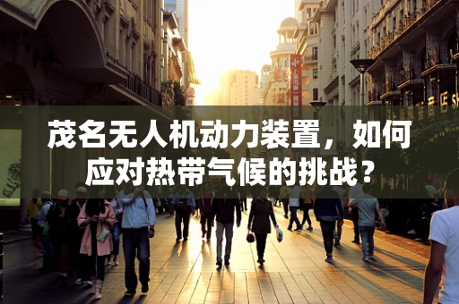 茂名无人机动力装置，如何应对热带气候的挑战？