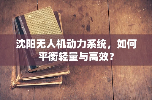 沈阳无人机动力系统，如何平衡轻量与高效？