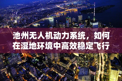 池州无人机动力系统，如何在湿地环境中高效稳定飞行？