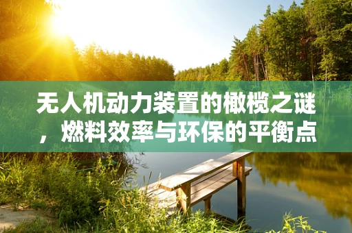 无人机动力装置的橄榄之谜，燃料效率与环保的平衡点
