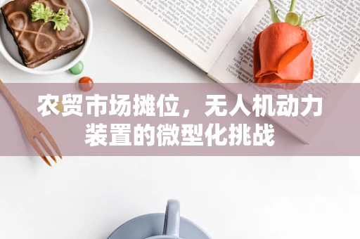 农贸市场摊位，无人机动力装置的微型化挑战