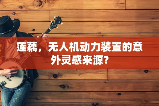 莲藕，无人机动力装置的意外灵感来源？