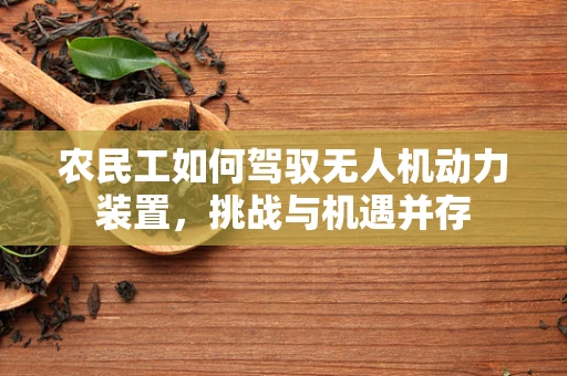 农民工如何驾驭无人机动力装置，挑战与机遇并存