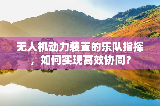 无人机动力装置的乐队指挥，如何实现高效协同？
