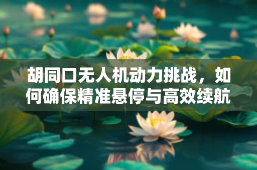 胡同口无人机动力挑战，如何确保精准悬停与高效续航？
