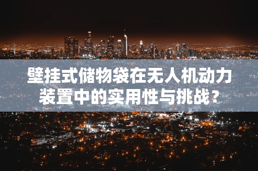 壁挂式储物袋在无人机动力装置中的实用性与挑战？