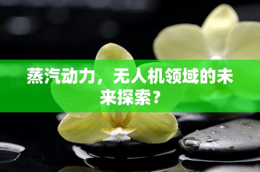 蒸汽动力，无人机领域的未来探索？