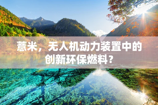 薏米，无人机动力装置中的创新环保燃料？