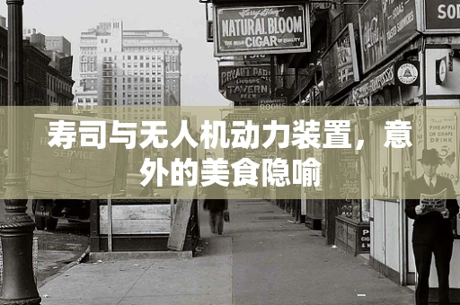 寿司与无人机动力装置，意外的美食隐喻