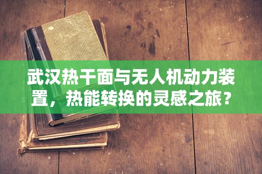 武汉热干面与无人机动力装置，热能转换的灵感之旅？