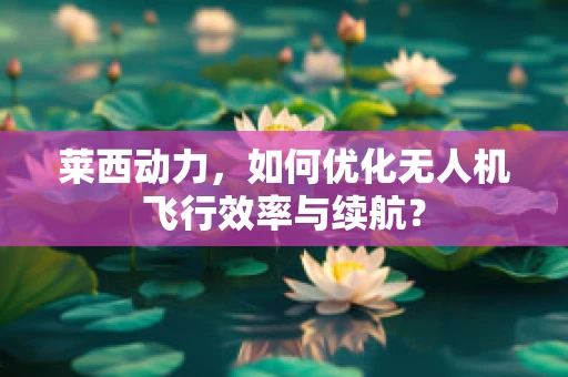 莱西动力，如何优化无人机飞行效率与续航？