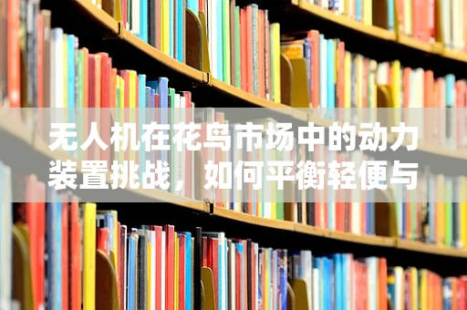无人机在花鸟市场中的动力装置挑战，如何平衡轻便与高效？