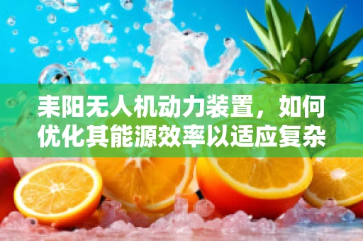 耒阳无人机动力装置，如何优化其能源效率以适应复杂地形？