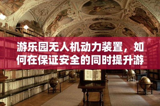 游乐园无人机动力装置，如何在保证安全的同时提升游客体验？