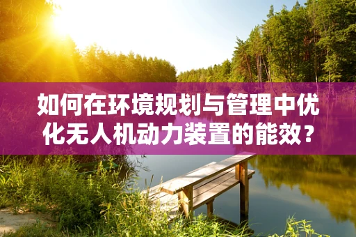 如何在环境规划与管理中优化无人机动力装置的能效？