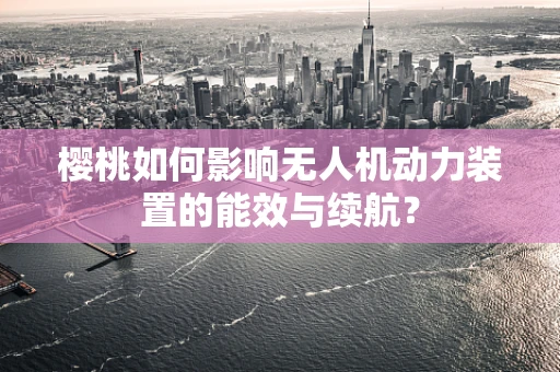 樱桃如何影响无人机动力装置的能效与续航？