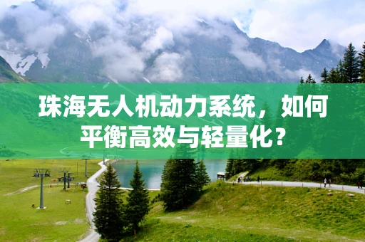 珠海无人机动力系统，如何平衡高效与轻量化？