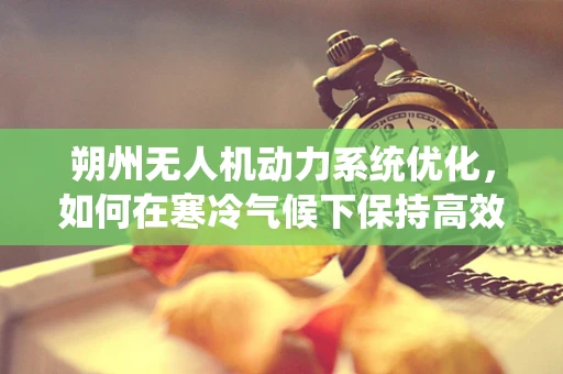 朔州无人机动力系统优化，如何在寒冷气候下保持高效飞行？
