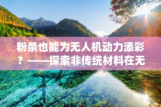 粉条也能为无人机动力添彩？——探索非传统材料在无人机动力装置中的应用