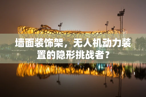 墙面装饰架，无人机动力装置的隐形挑战者？